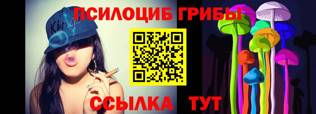 Псилоцибиновые грибы Cubensis Унеча